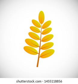 Yellow leaf. Autumn leaf of a tree on a white background. Vector illustration