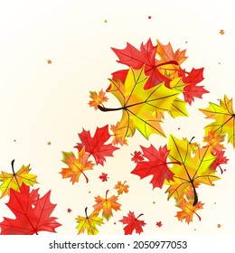 Yellow Leaf Background BeigeVector. Leaves September Texture. Autumnal Down Foliage. Decoration Floral Design.