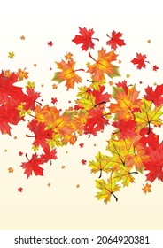 Yellow Leaf Background BeigeVector. Leaves September Texture. Autumnal Down Foliage. Decoration Floral Design.