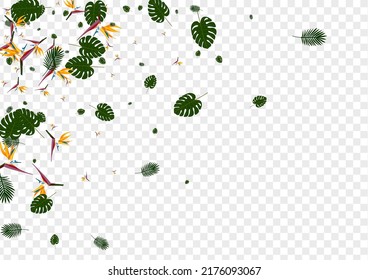 Yellow Leaf Background Transparent Vector. Strelitzia Retro Pattern. Pink Flora. Modern Design. Orange Bright Texture.