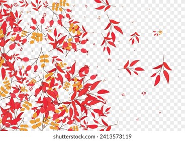 Yellow Leaf Background Transparent Vector. Berries Landscape Frame. Green Herb Rowan. Silhouette Texture. Foliage Modern.