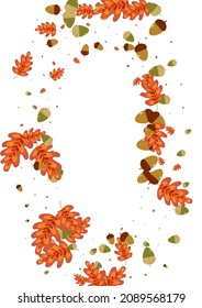 Yellow Leaf Background White Vector. Oak Outline Design. Orange Plant. Organic Frame. Golden Herb Border.