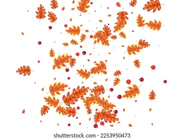 Yellow Leaf Background White Vector. Leaves Pattern Illustration. Red Acorn. Vibrant Design. Golden Plant Border.