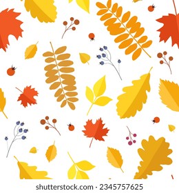 Gelbe Blätter und Beeren auf weißem Hintergrund. Nahtlose Vektormuster mit bunten Herbstblättern.