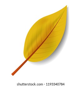 Yellow leaf icon. Realistic illustration of yellow leaf vector icon for web design isolated on white background
