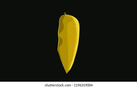 Yellow leaf on a dark background