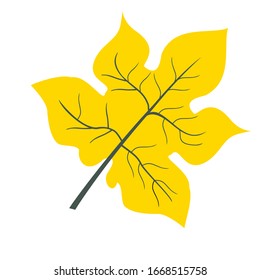 
hoja amarilla sobre fondo blanco