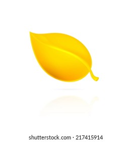 Yellow leaf on white background. EPS10 vector.