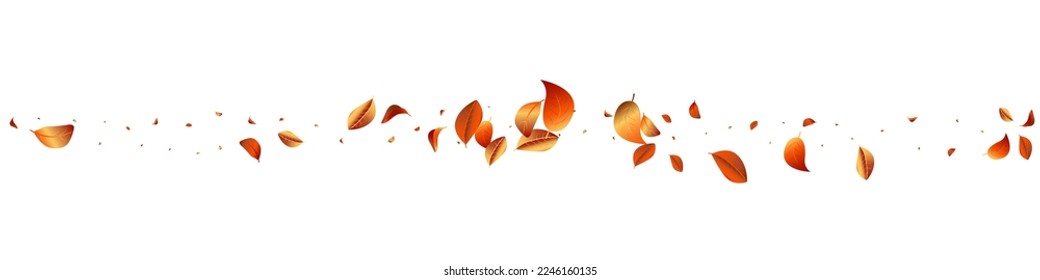 Yellow Leaf Organic Vector White Panoramic Background Concept. Swirl Foliage Template. Forest Solar Realistic Pattern. Leaves Abstract Poster.