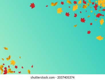 Yellow Leaf Vector Blue Background. Down Plant Template. Green Bright Foliage Frame. Flying Design.
