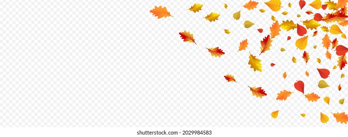 Fondo Panorámico Transparente Panorámico Vector De Hoja Amarilla. Setiembre Deja El Marco. Tarjeta Floral de papel de escritorio marrón. Ilustración de temporada.
