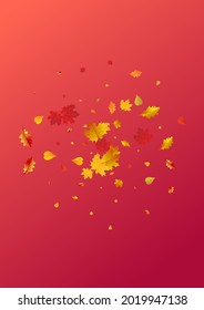 Yellow Leaf Vector Red Background. Nature Foliage Card. Brown Collection Plant Illustration. Paper Frame.