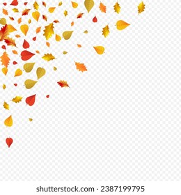 Yellow Leaf Vector Transparent Background. Forest Foliage Texture. Orange October Leaves Design. Shape Frame.