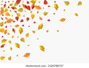 Yellow Leaf Vector Transparent Background. October Plant Card. Autumnal November Foliage Template. Tree Frame.