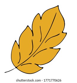 yellow leaf with veins, doodle style vector element, black outline