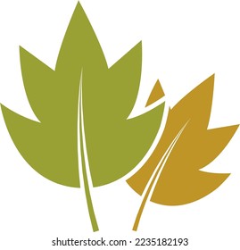 Yellow leafs. Tree foliage icon. Natural sign