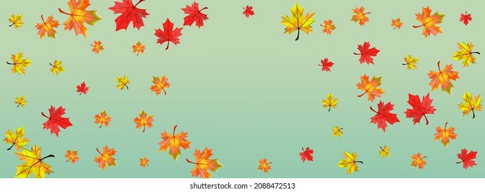 Yellow Leaves Background Green Vector. Floral Celebrate Card. Autumnal Tree Leaf. November Foliage Texture.
