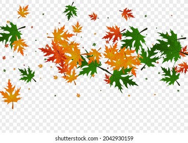 Vector transparente de fondo de hojas amarillas. Tarjeta Floral Única. Setiembre Rojo. Marco de tierra. Decoración De La Planta De Petróleo.