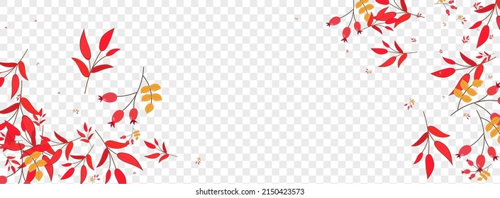 Yellow Leaves Background Transparent Vector. Foliage Poster Texture. Green Herb October. Dead Template. Berries Forest.