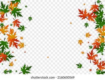 Yellow Leaves Background Transparent Vector. Plant Flying Frame. Brown Design. Seasonal Illustration. Red Foliage Beautiful.
