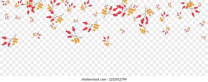 Yellow Leaves Background Transparent Vector. Leaf Collection Template. Green Foliage Border. Backdrop Set. Herb Dry.