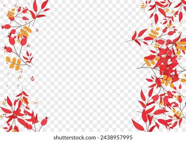 Yellow Leaves Background Transparent Vector. Foliage Organic Set. Red Herb Pattern. Image Card. Berries Natural.