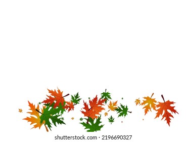 Vector blanco de fondo de hojas amarillas. Ilustración del bosque floral. Octubre marrón. Textura de fondo de escritorio. Dotación De Hojas Verdes.