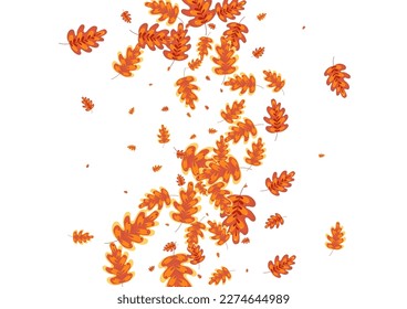 Yellow Leaves Background White Vector. Plant Banner Texture. Green Leaf. Floral Illustration. Red Oak Material.