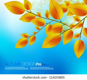 Yellow leaves with blue clear sky. Nature autumn vector background