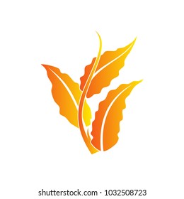 Yellow leaves icon shapes of trees and plants isolated on white background. Vector illustration elements for eco and bio logos