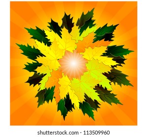 Yellow leaves on the background of the sun.Vector