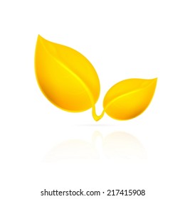 Yellow leaves on white background. EPS10 vector.