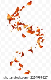 Yellow Leaves Tea Vector White Transparent Background Banner. Spring Foliage Backdrop. Red Solar Falling Poster. Leaf Nature Pattern.