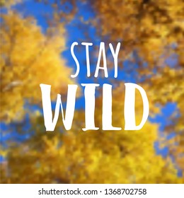 Yellow leaves trees and blue sky vector blurred background with text design