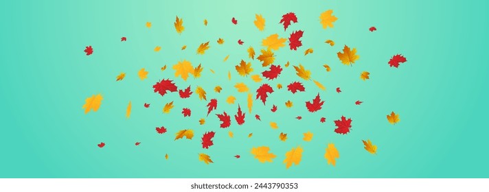 Yellow Leaves Vector Blue Panoramic Background. Celebrate Leaf Texture. Golden October Plant Frame. Design Illustration.