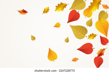 Yellow Leaves Vector Transparent Background. Design Plant Texture. Colorful Decoration Floral Design. Flying Card.
