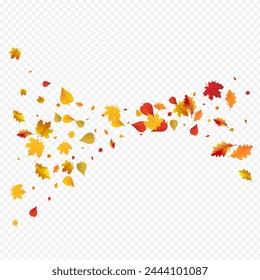 Yellow Leaves Vector Transparent Background. Abstract Leaf Illustration. Brown Beautiful Floral Template. Canadian Frame.