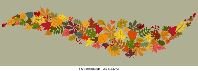 Yellow Leaves Vector Transparent Background. Beautiful Foliage Illustration. Golden Realistic Floral Template. Tree Design.