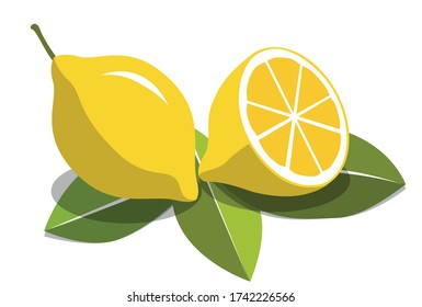 yellow lemon flat fruit on white background