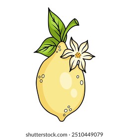 Limão amarelo com flor e folhas. Citrinos tropicais sazonais. Ilustração do vetor de linha.