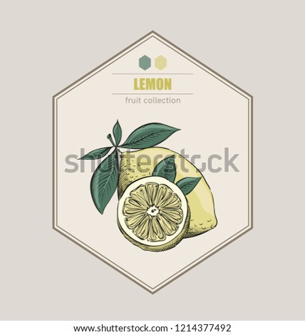 Yellow lemon. Fruit label collection. Vintage packaging design template.