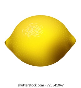 Yellow lemon fruits svector illustration vegetarian diet cytrus freshness tropical food