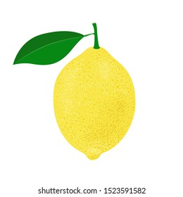 Limón amarillo con hoja verde aislado sobre fondo blanco. Ilustración vectorial dibujada a mano. Estilo retro.