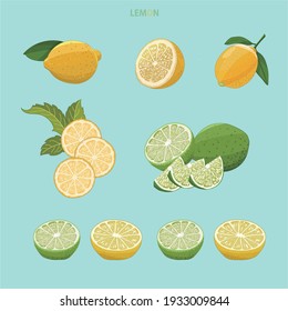 Yellow lemon, green lemon, sliced, diced, hand drawn illustration vector illustration