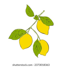 Yellow lemon on branch with green leaves. Hand drawn contour drawing sketch. Isolated white background.