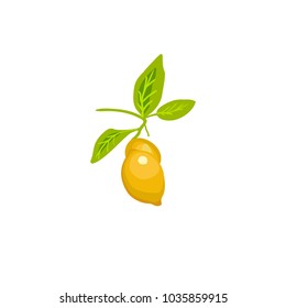 Yellow lemon on a green branch with leaves. Appetizing vegetable icon. Vector illustration.

