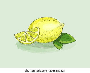 Yellow lemon, slice and leaf watercolor with ink solid outline. Juicy, fresh fruit.