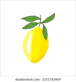 Yellow lemon vector. Lemon is a fruit that is sour and has high vitamin C.