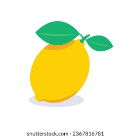 Yellow lemon vector and illustration