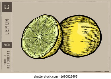 Yellow lemon Vector illustration - Hand drawn